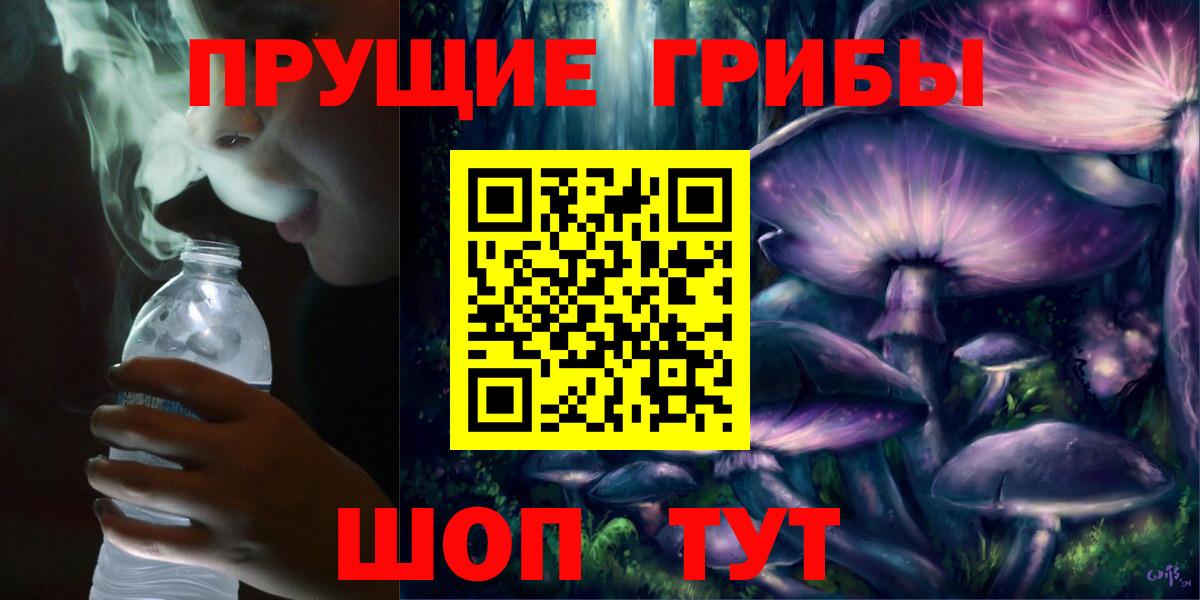 Галлюциногенные грибы Psilocybe Великий Новгород